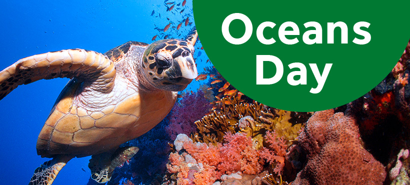 Oceans Day for Families with Children Ages 2–5 – DAI Heidelberg, 10.06.2026